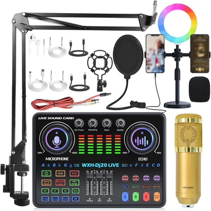 DJ20 Full Set 48v Sound Card Microphone Kit RGB Lighting Suspension Arm Bracket for Live Streaming and Recording