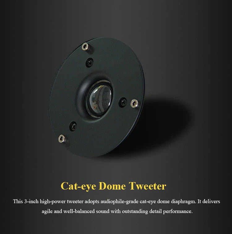 5-inch HIFI Passive Bookshelf Speaker 150W Output Power 3-inch Tweeter Unit Lacquered Shell Professional Monitor Speaker