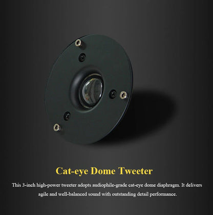 5-inch HIFI Passive Bookshelf Speaker 150W Output Power 3-inch Tweeter Unit Lacquered Shell Professional Monitor Speaker