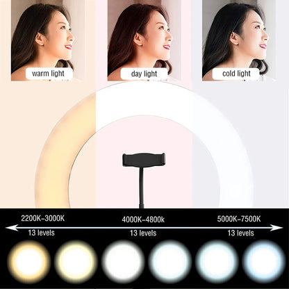 LED Ring Light Photography Adjustable Lighting Phone Ringlight With 20cm Tripod Stand USB Round Fill Lamp For Phone Video Live