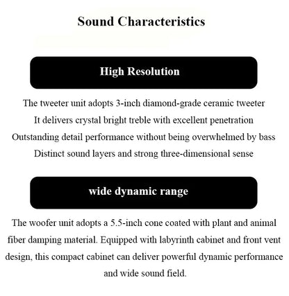 X100 HIFI Passive Bookshelf Speaker 5.5 Inch 2 Way Audiophile Wooden Monitor Speaker 60W2 Output Power 3 Inch Tweeter Unit